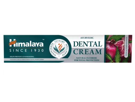 Dental Cream ajurwedyjska pasta do zębów z naturalnym fluorem 100g Hot on Sale